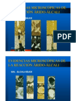 Evidencias Microscopicas de La RAA