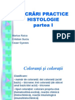 Histologie i