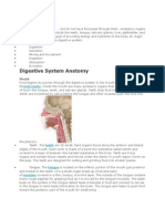 Full Digestive System Description