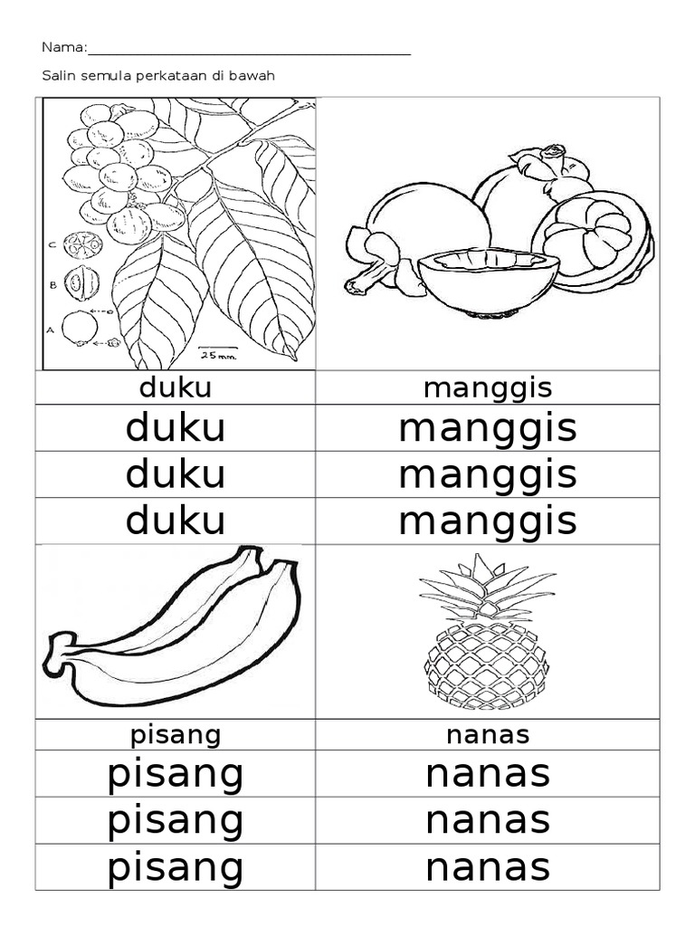 Kolaj Buah Buahan Lembaran Kerja Kolaj Bunga Wajib Tahu Ini Manfaat