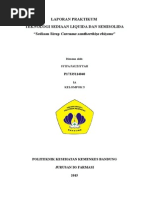 Download Laporan Praktikum 1 - Curcuma xanthorrhiza by Syifa Fauziyyah SN264818966 doc pdf