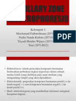 Capillary Zone Electrophoresis