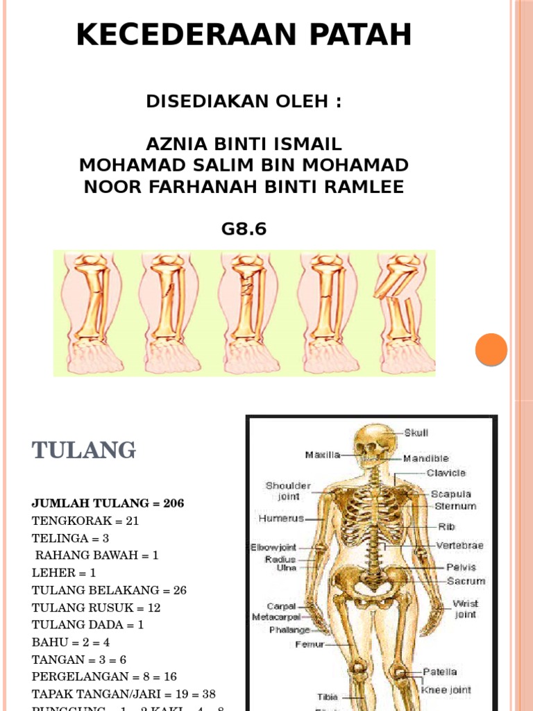 Patah Group Pdf