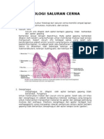 Histologi Saluran Cerna