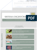 Aula 7 - Fisiologia e Anatomia Animal - Sistemas Digestório