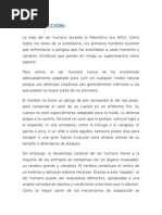 Evolucion Del Hombre