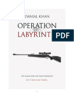 Operation Labyrinth