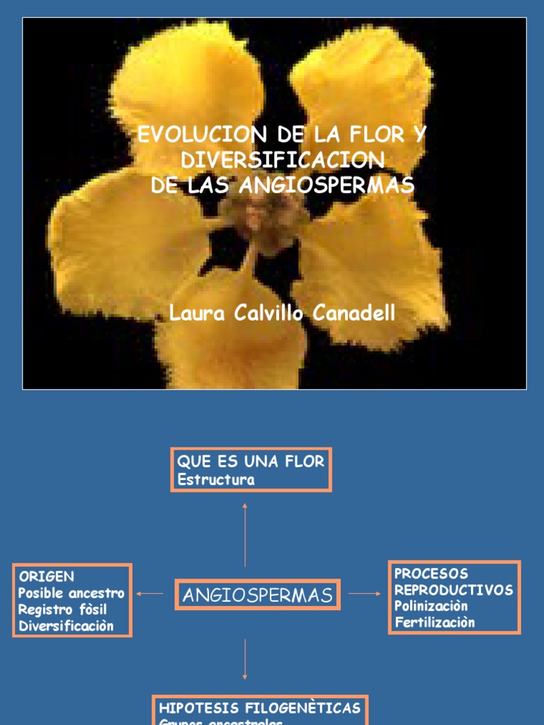 Evolución y Estructura de las Flores | PDF | Flores | Reproducción de ...