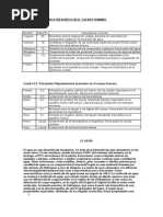 Elementos Mayores Presentes en El Cuerpo HumanoENVIAR