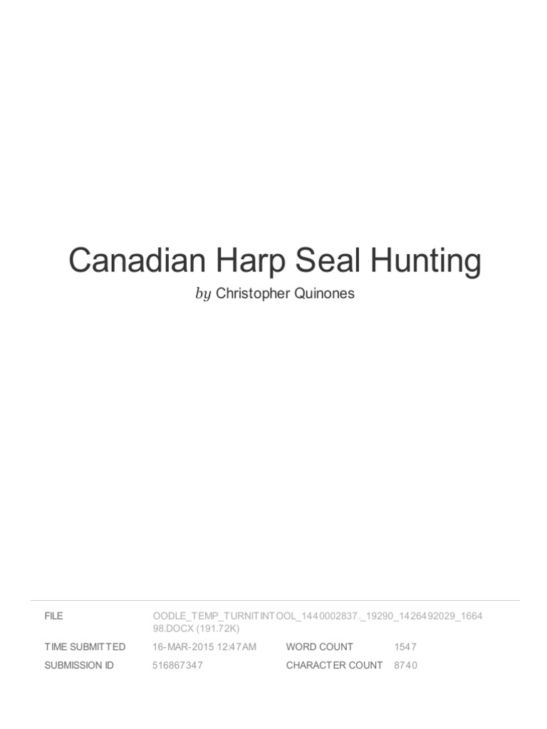 Seal hunting essay 07 picture