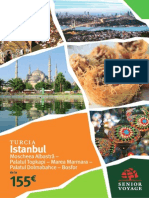 SV Istanbul 2014 PDF