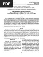 Download 202014Paper AntibakteriTempeDEP Mambang by DhianAsrini SN264854563 doc pdf