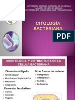 Citologia Bacteriana