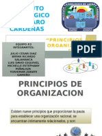 Principios de La Organizacion