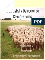 P Cabrera-Ciclo Estral y Detección de Celo en Ovinos PDF