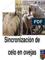 E Mellisho-Sincronizacion de Estros PDF