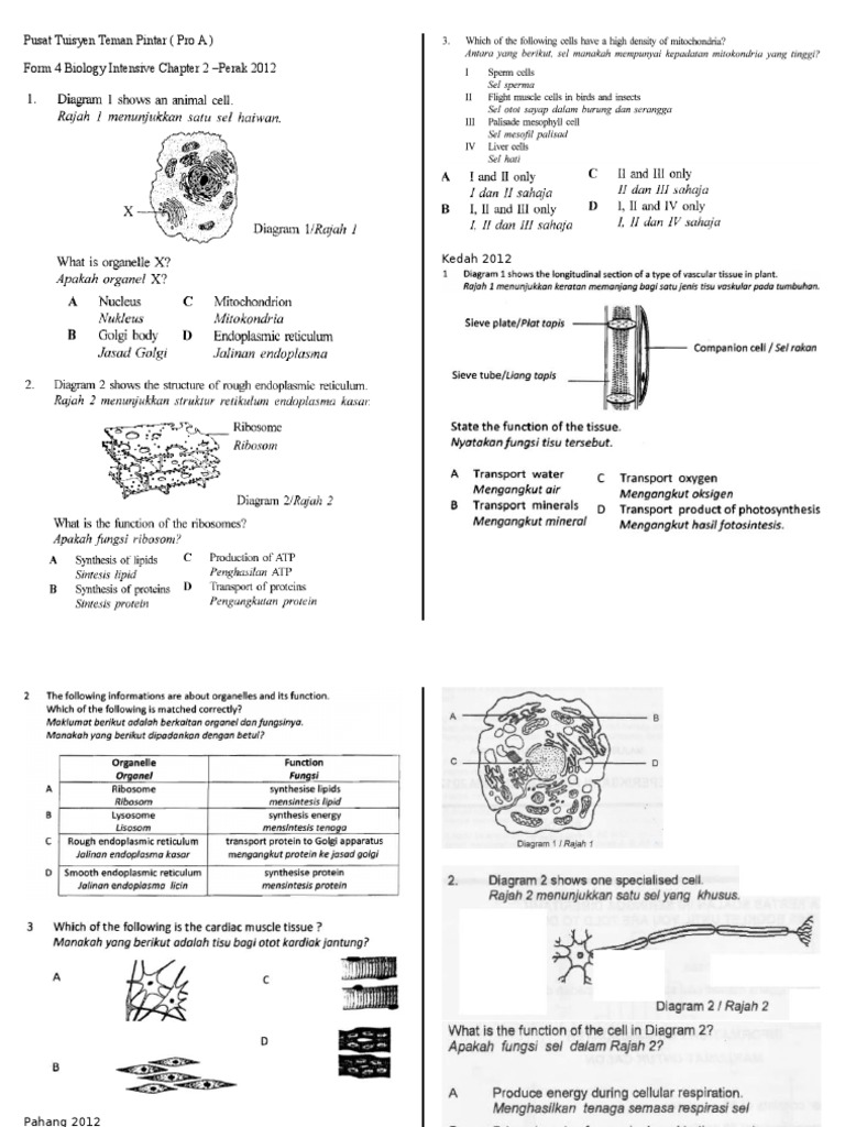 Biology Form 4 Chapter 2 past year objective