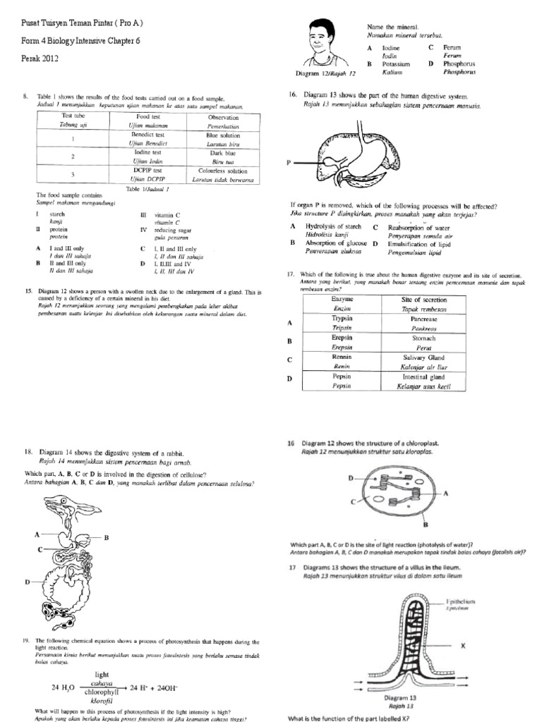 Form 4 Biology Chapter 6 | PDF