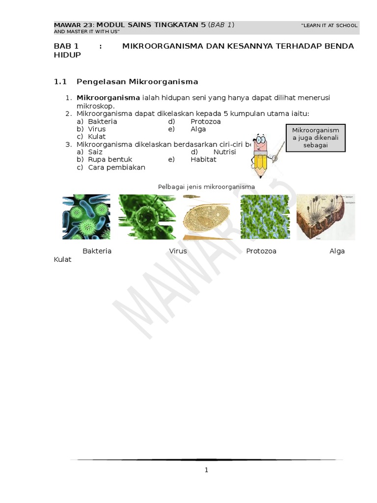 Modul Sains Tingkatan 5  Bab 1  PDF