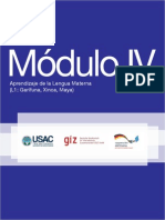 M+¦dulo IV Aprendizaje de la Lengua Materna