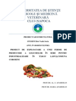 Proiect Legume PDF