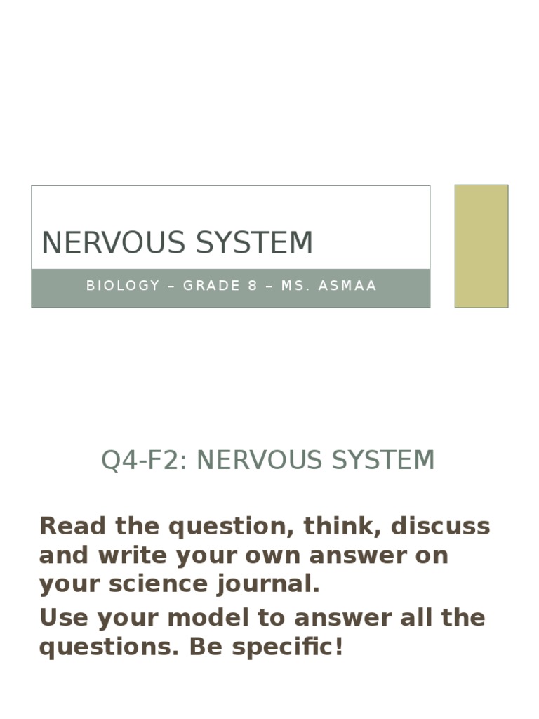 Nervous System Project Model Guide | PDF