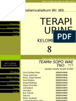 Terapi Urine