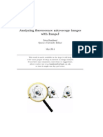 Analyzing Fluorescence Microscopy Images