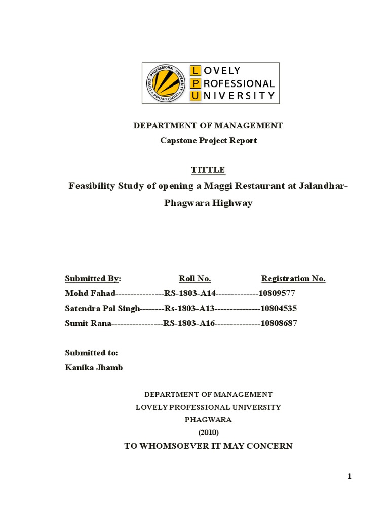 Project Report - Feasibility Study | PDF | Market Analysis ...