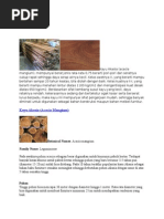 Download KAYU by Amelia Hapsari SN264931179 doc pdf