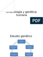 Embriología y Genética Humana Estudio Genetico