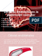 histologia lectura endotelio