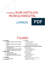 Praktikum Histologi Lambda