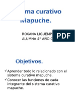 Sistema Salud Mapuche
