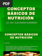 conceptos_basicos_de_nutricion.ppt