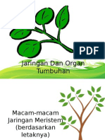 Biologi11 Jaringantumbuhan 120102192001 Phpapp02