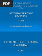 os-centros-de-fora-e-a-pineal-1221063237867177-8