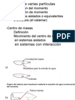 BioCap4 Sists Varias Parts