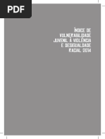 Indice Vulnerabilidade Jovens Racismo