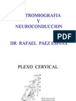 Estudios electrofisiológicos EMG y neuroconducción