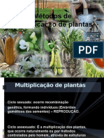 Métodos de propagação de plantas