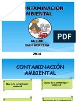 Contaminacion Ambiental