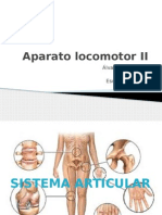 Clase 4 Sistema Articular