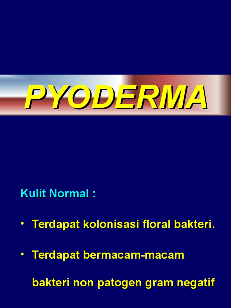 Panduan Lengkap Pyoderma | PDF