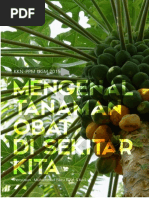 Download Mengenal Tanaman Obat Di Sekitar Kita by Muhammad Fikru Rizal SN265042126 doc pdf