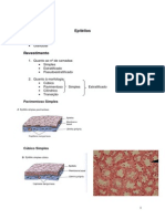 Sebenta de Histologia Pratica II