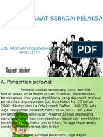 PPT LISU ARDIYANTI POLOPADANG (PERAN PERAWAT SEBAGAI PELAKSANA).pptx