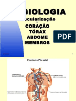 aula cardiovascularCardiovascular - Alunos