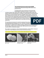 Sample Preparation For Scanning Electron Microscopy (SEM)