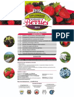 Cartel 3er Diplomado Berries